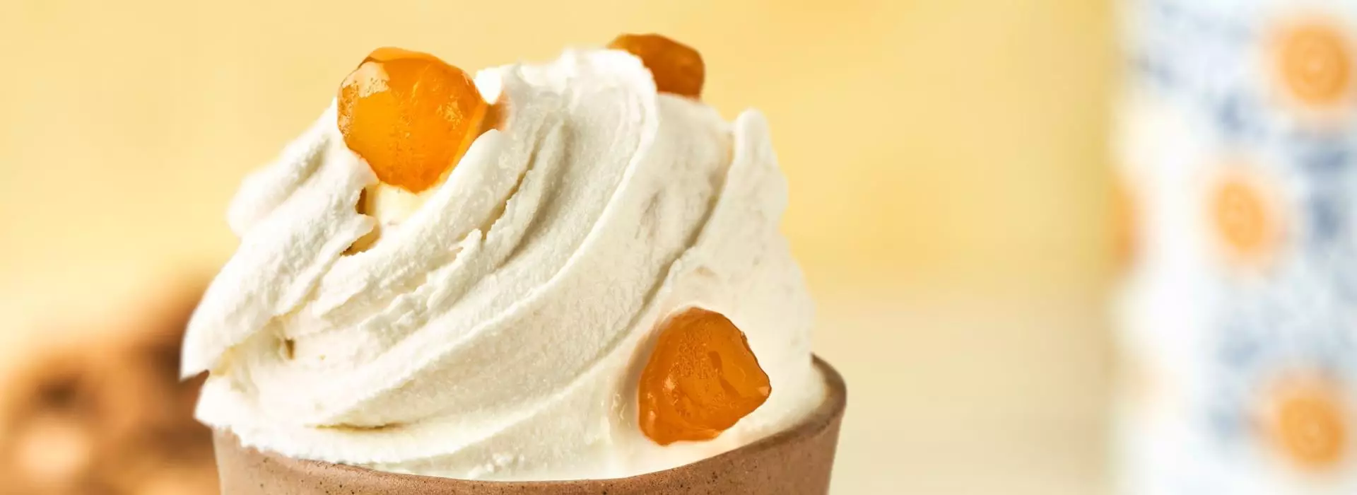 Zenzero Fabbri, une spécialité pour rendre vos créations de glaces uniques.
